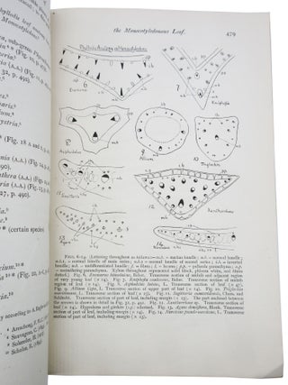 Item #113 The Phyllode Theory of the Monocotyledonous Leaf, With Special Reference to Anatomical...